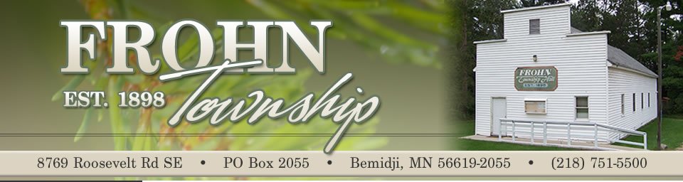 Frohn Township